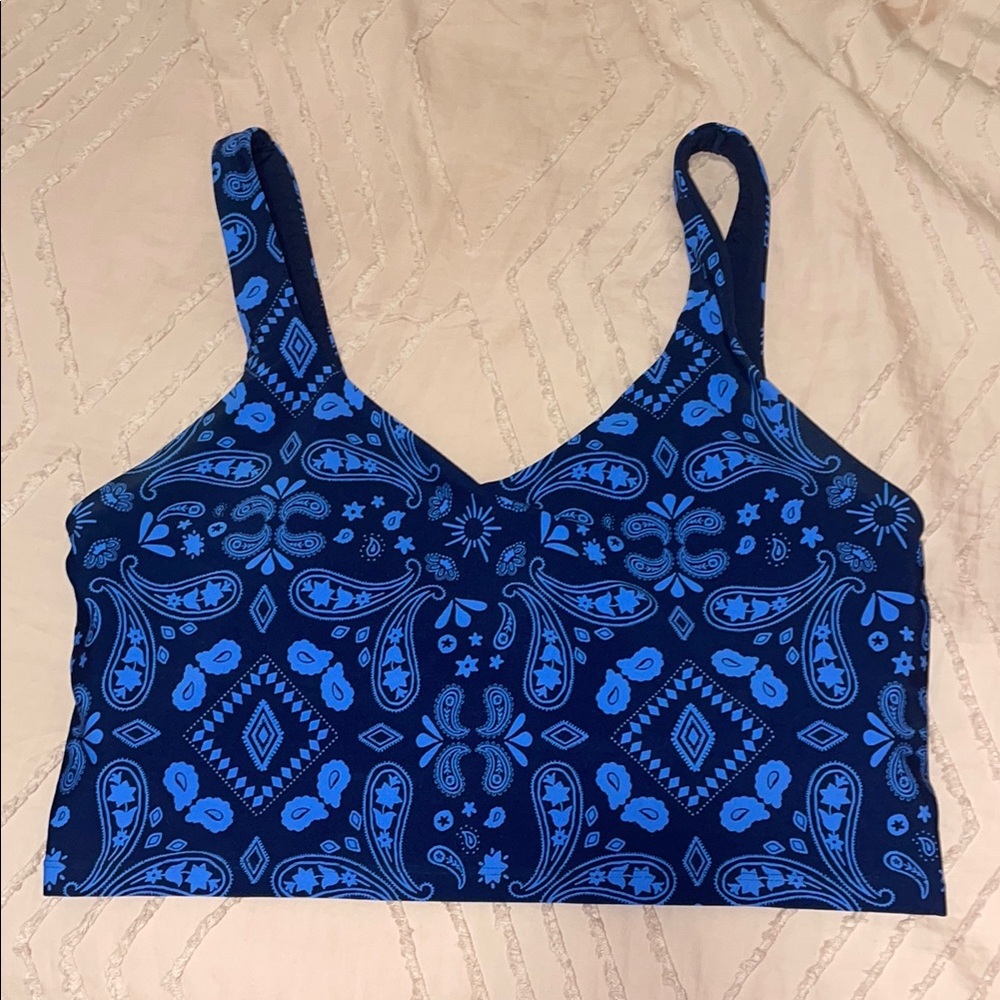 Aerie Blue Paisley Crop Top